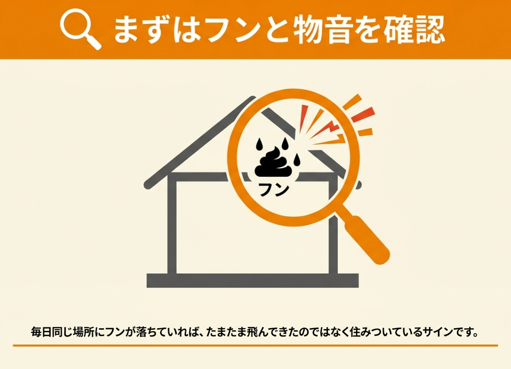 家にコウモリが出たら最初に確かめたいこと