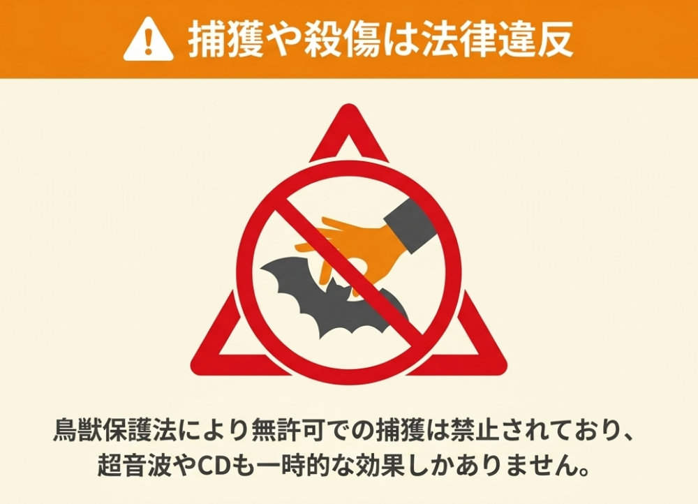 効果が出にくいコウモリ対策とやってはいけないこと