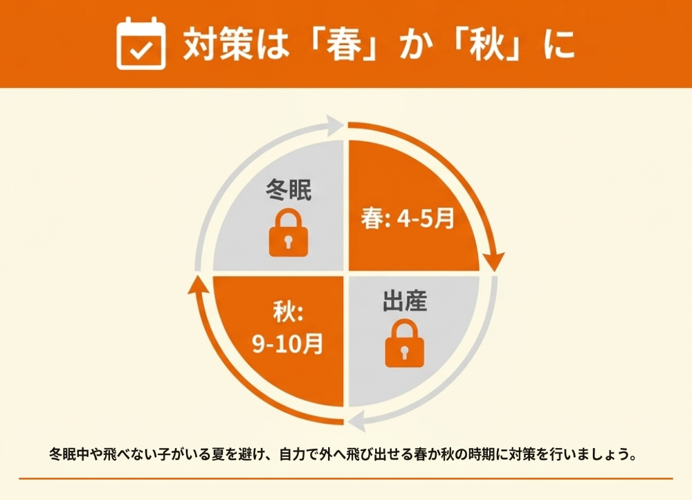 コウモリ対策を始めるのに向いている時期