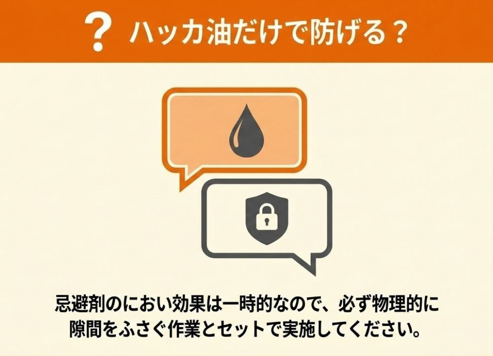 コウモリ対策についてよくある質問