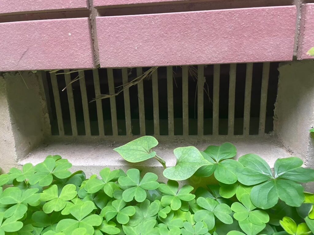 豊島区のネズミ対策工事|W様邸 1