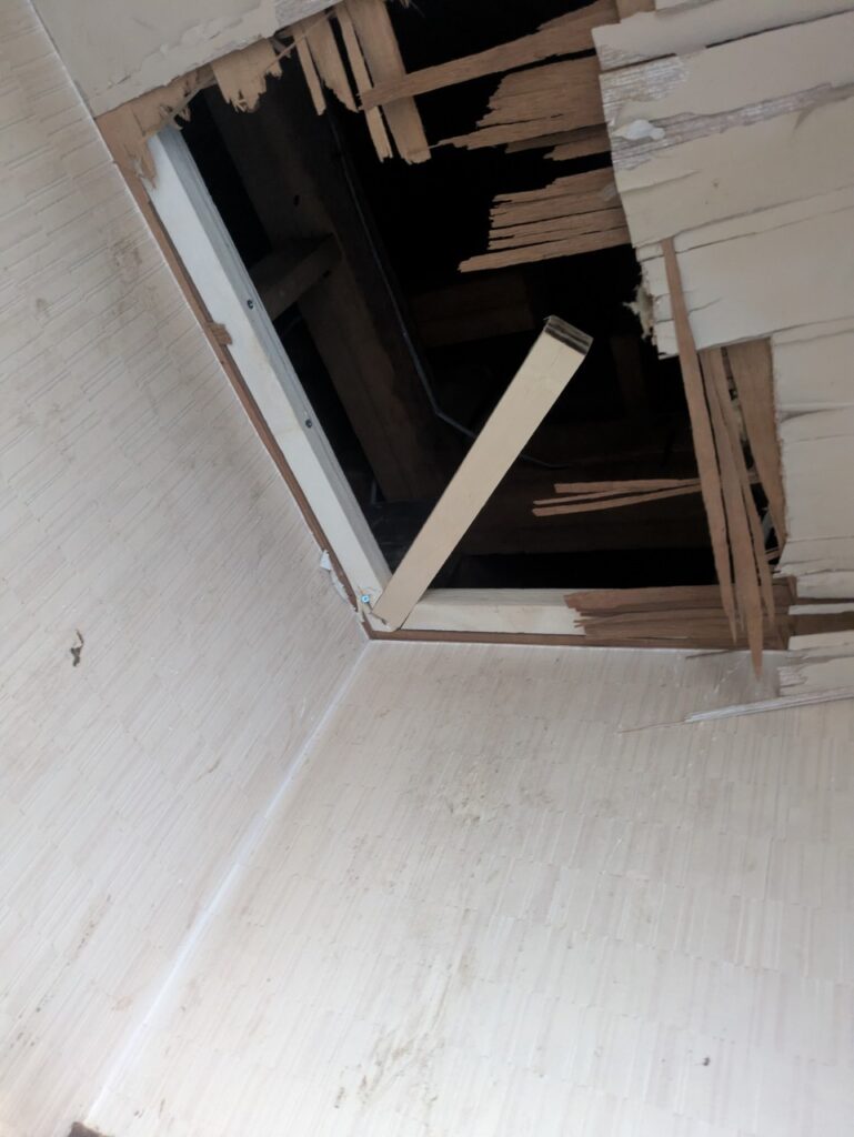 千葉市のネズミ・中型害獣対策工事｜K様邸 22