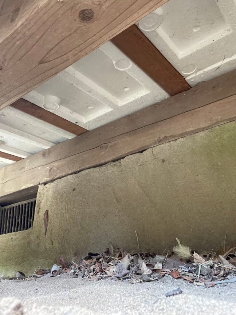 土浦市のネズミ対策工事一式｜S様邸 3