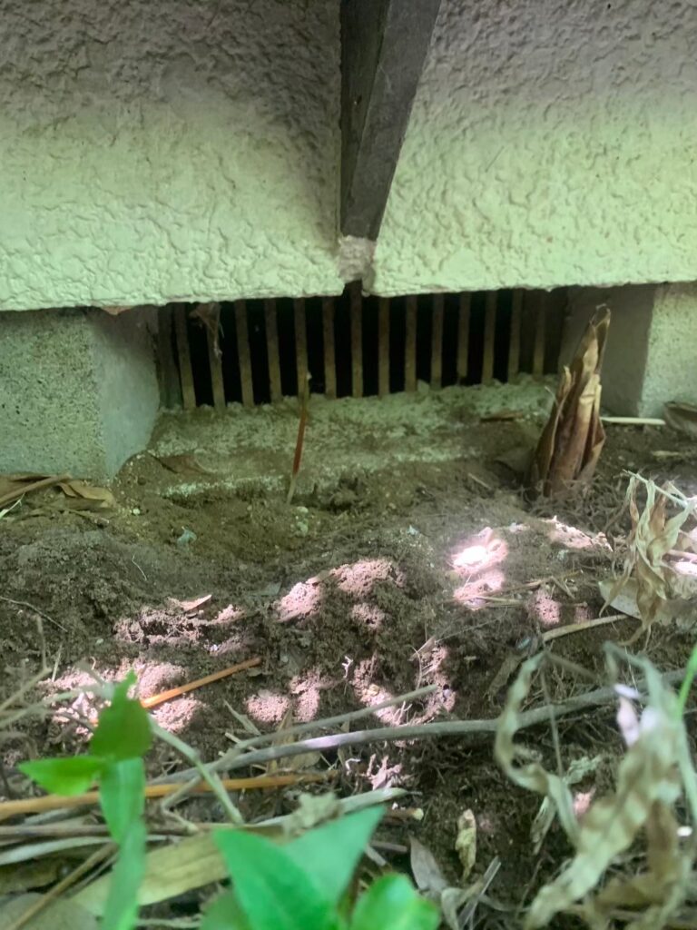 立川市のネズミ対策工事|N様邸 8