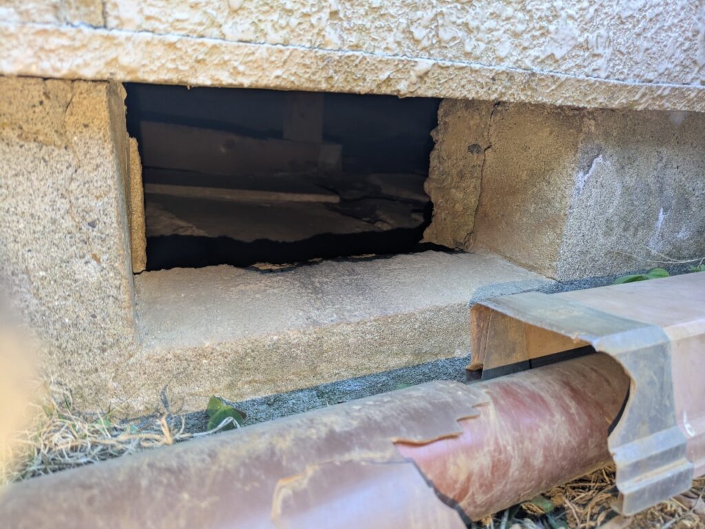 千葉市のネズミ・中型害獣対策工事｜K様邸 5