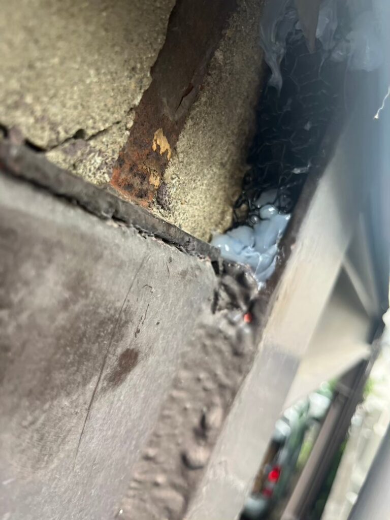 中野区のネズミ対策工事一式｜S様邸 10