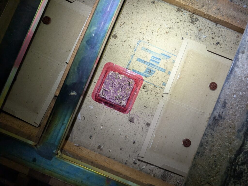 墨田区のネズミ対策工事｜S様邸 2