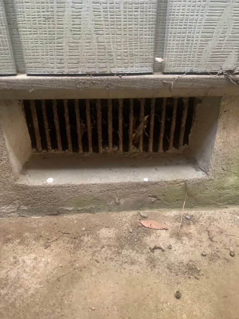 土浦市のネズミ対策工事一式｜S様邸 13
