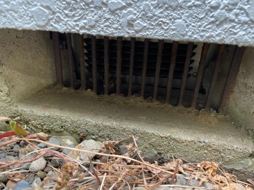 立川市のネズミ対策工事|N様邸 3