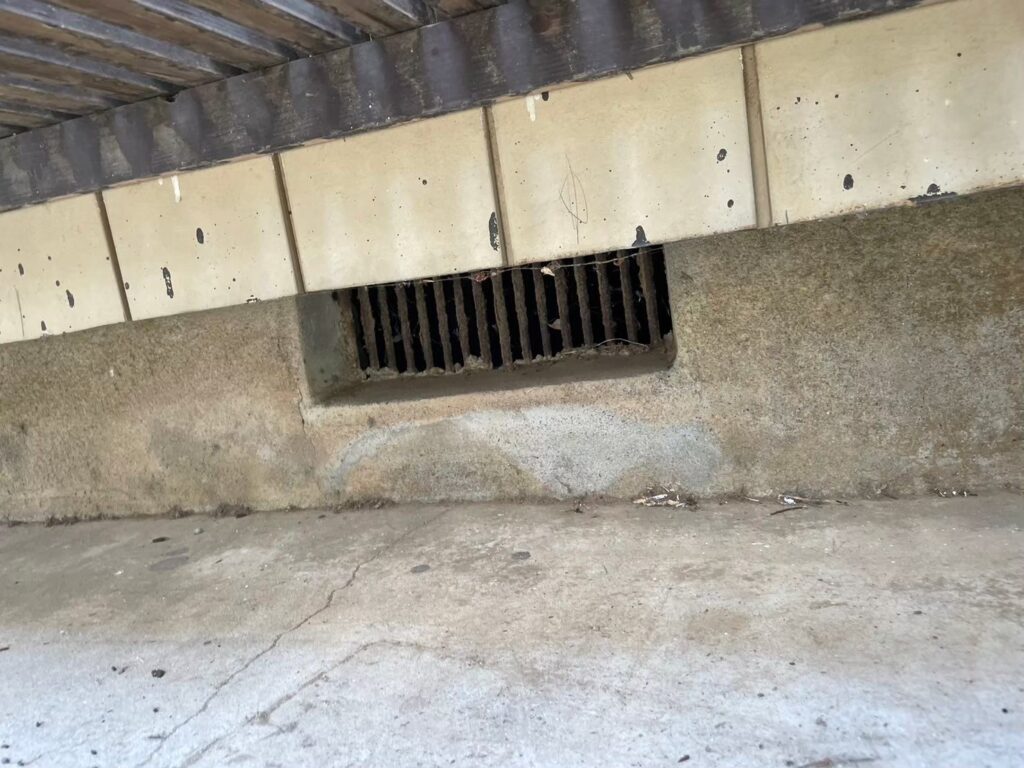 土浦市のネズミ対策工事一式｜S様邸 17