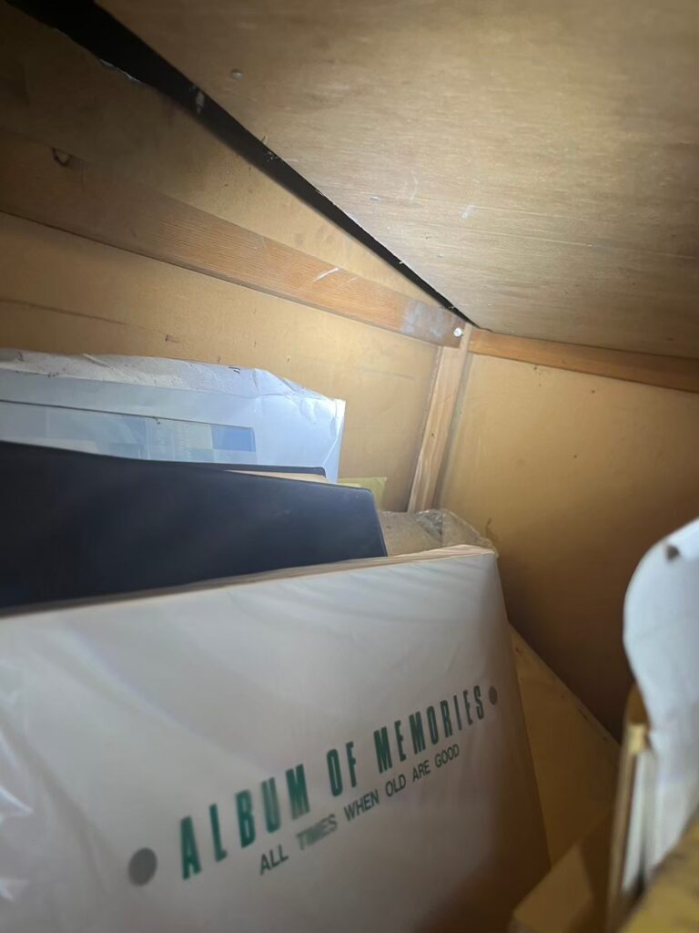 中野区のネズミ対策工事一式｜S様邸 3