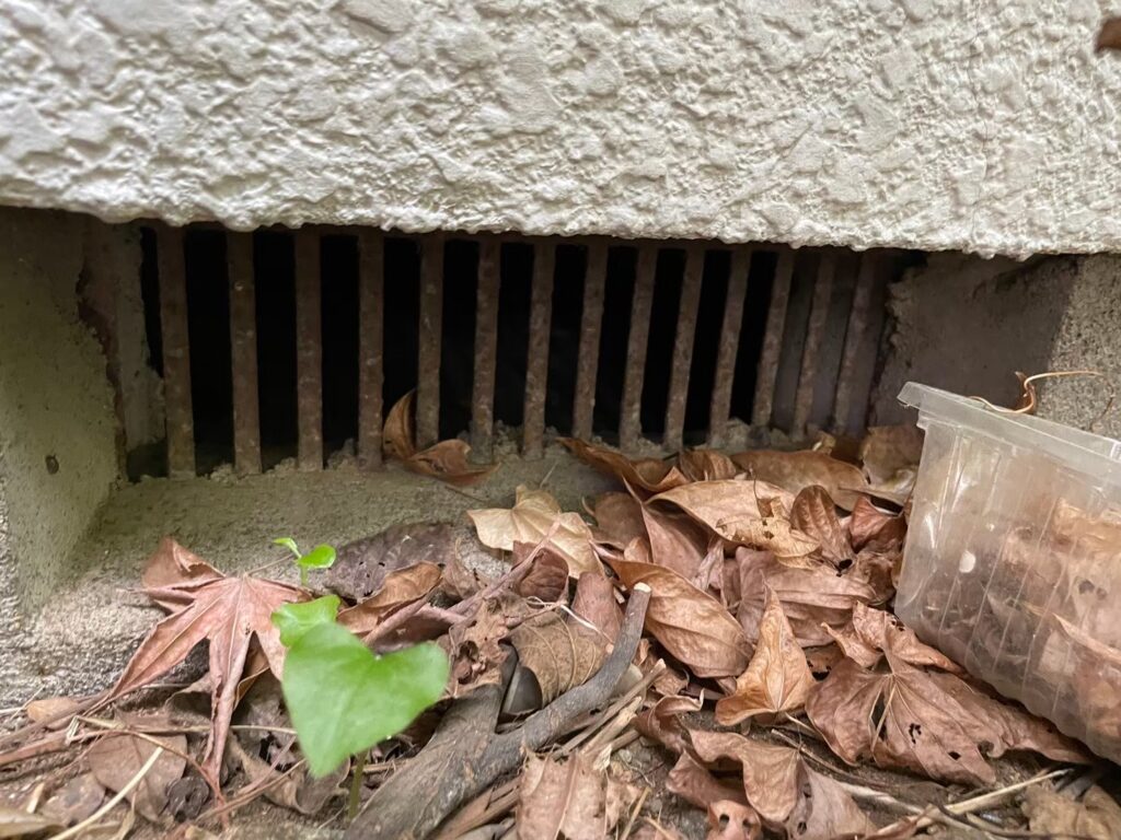 立川市のネズミ対策工事|N様邸 6