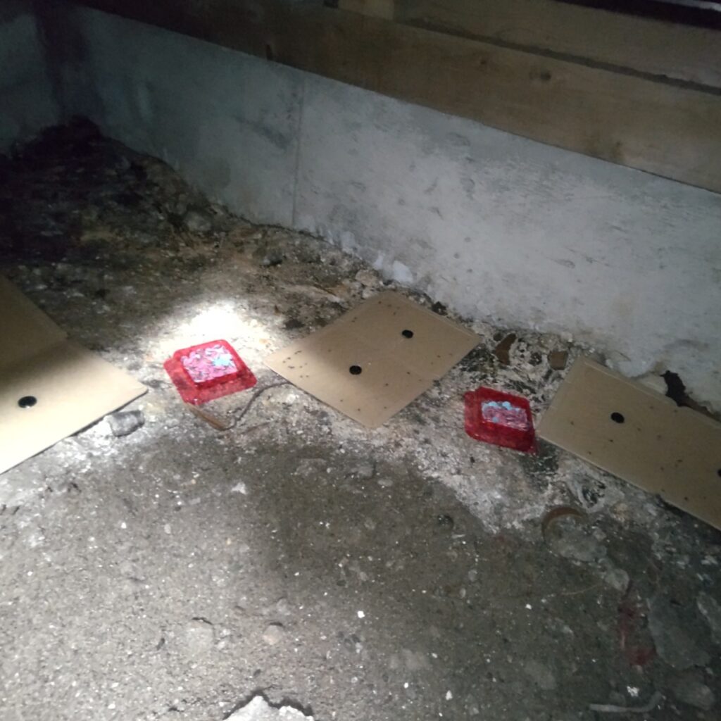 大田区のネズミ対策工事一式｜I様邸 8