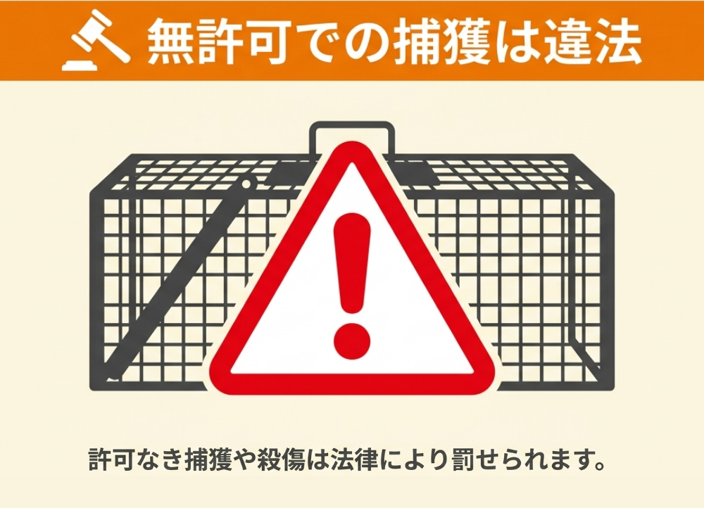 ハクビシンを罠で捕獲するのは「鳥獣保護管理法」で禁止