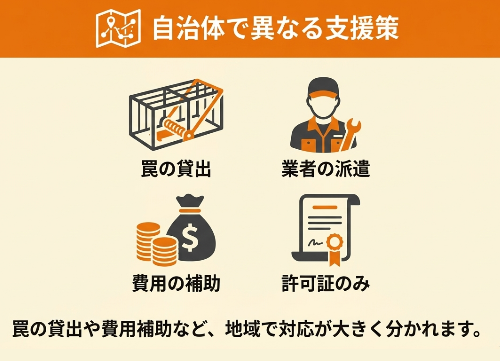 市役所・区役所によるハクビシン捕獲に関する制度