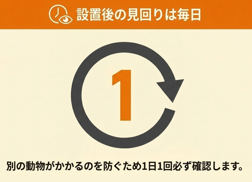 ハクビシンを罠で捕獲する際の注意点