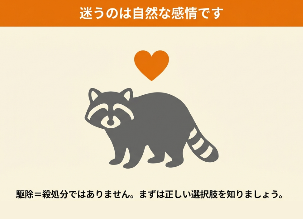 アライグマをかわいそうだと感じるのは自然なこと