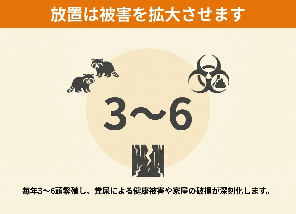 アライグマを放置した場合に起こること