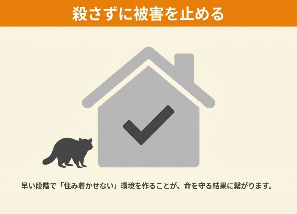 アライグマの駆除をためらっている方へのまとめ