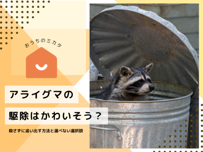 アライグマの駆除はかわいそう？殺さずに追い出す方法と選べない選択肢