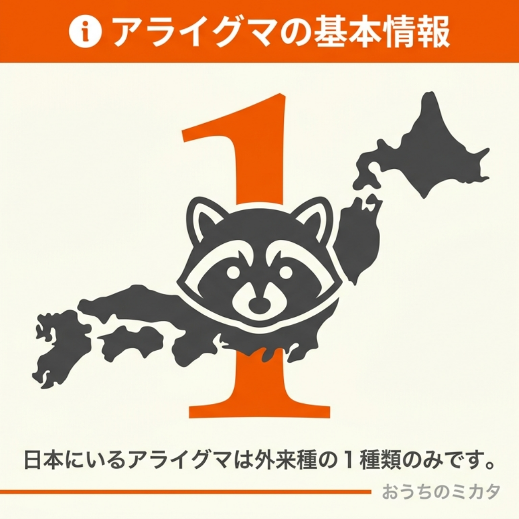 アライグマはどんな種類の動物か