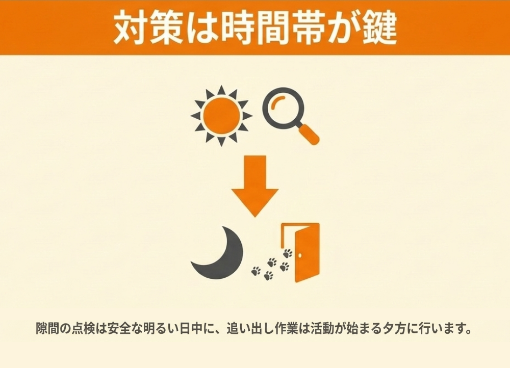 活動時間に合わせたイタチ対策