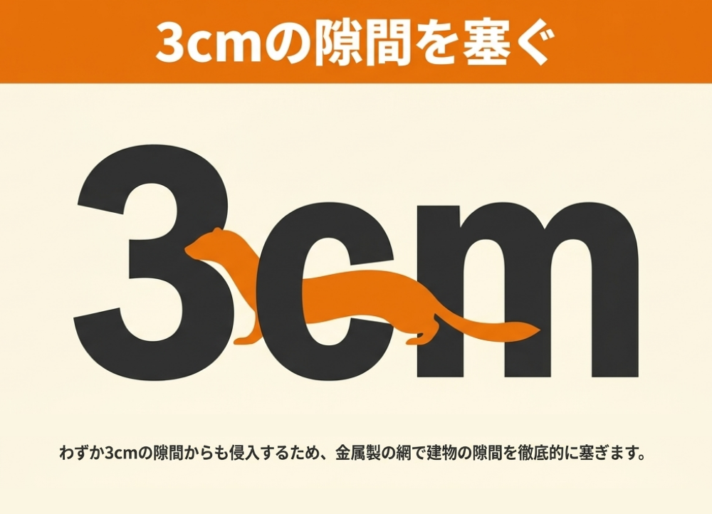 イタチの活動時間を知ったあとにやること