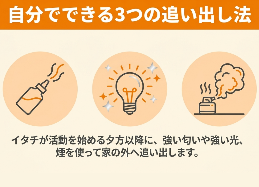 天井裏のイタチを追い出す方法は？