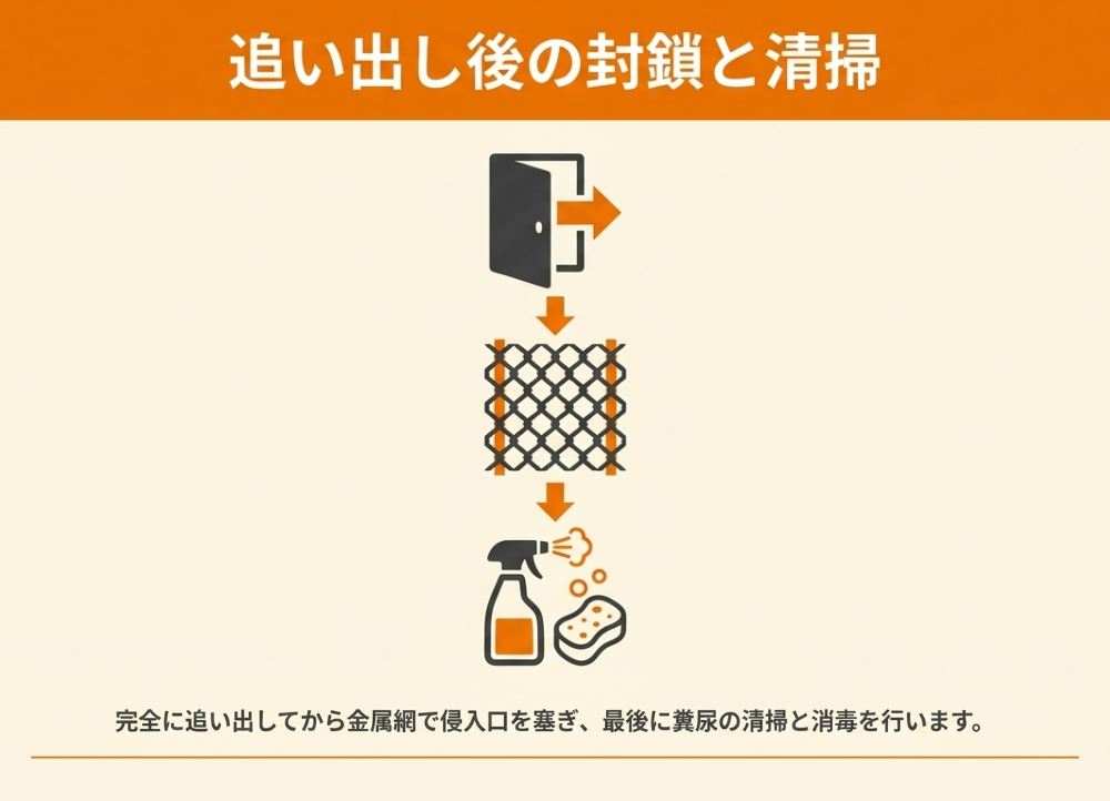 イタチを追い出したあとの封鎖と清掃を解説！
